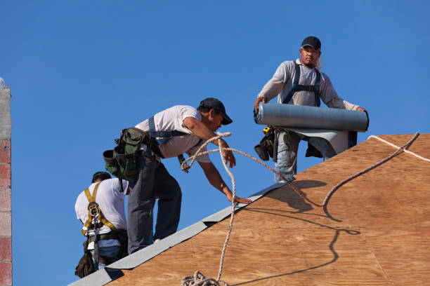 Best Flat Roof Repair Services  in Big Rapids, MI