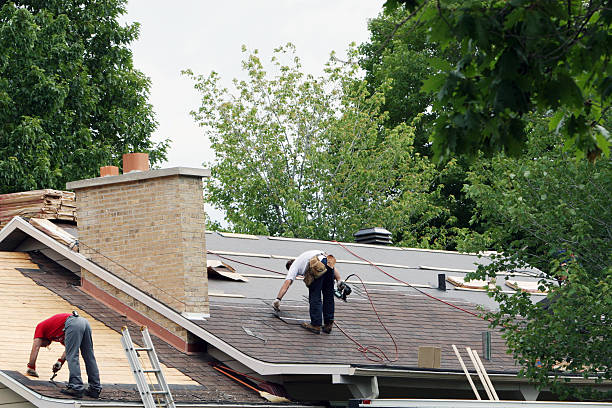Best Roof Maintenance Services  in Big Rapids, MI