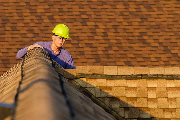 Best Roof Gutter Cleaning  in Big Rapids, MI