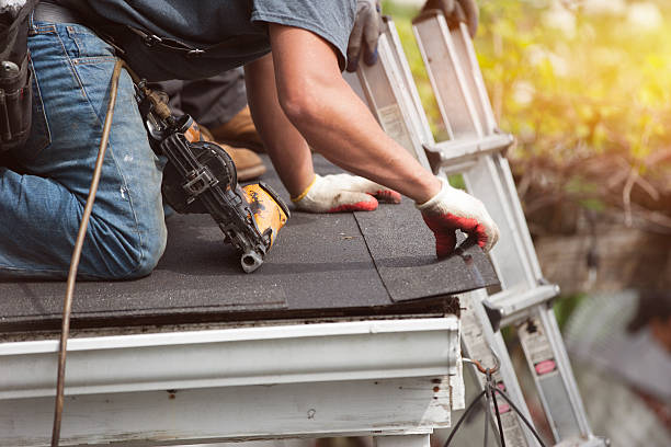 Best Roof Maintenance Services  in Big Rapids, MI