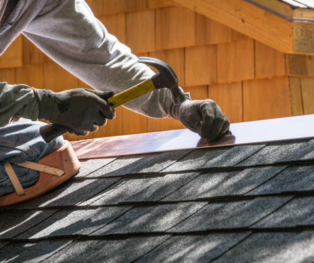 Best Metal Roofing Contractor  in Big Rapids, MI